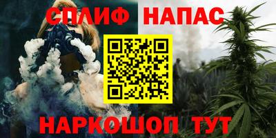 дурь Бердск