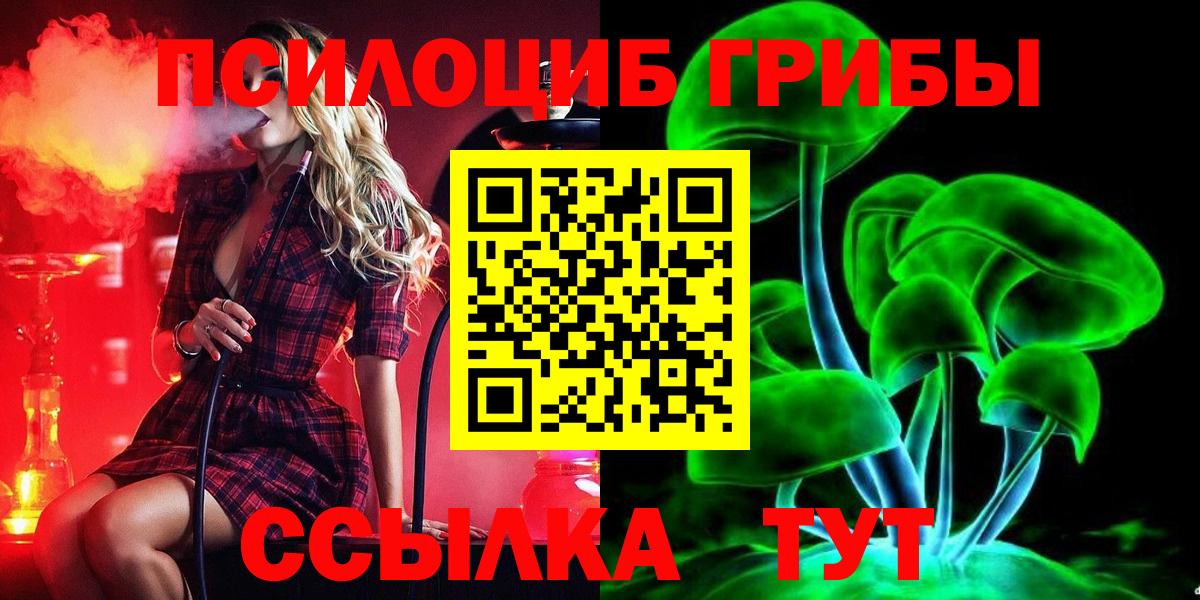 Псилоцибиновые грибы Юрга